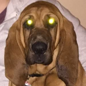 Meet your Posher, Jackie